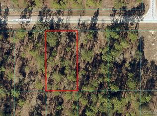 NW Hillsdale Ave, Dunnellon, FL 34431