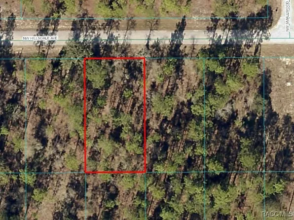 LOT 15 NW Hillsdale Ave, Dunnellon, FL 34431