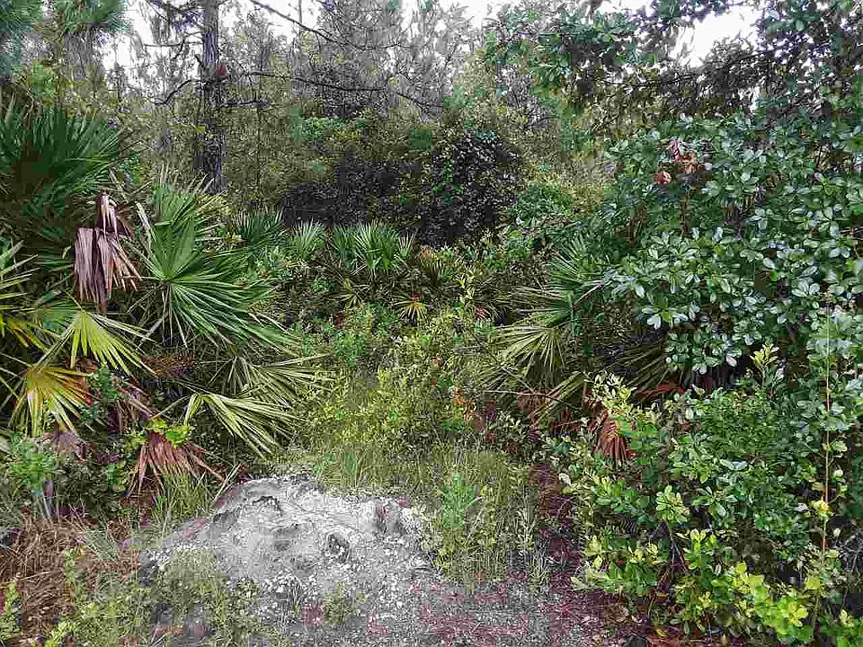 2nd image of 10685 Erickson Ave