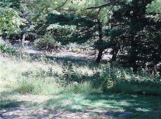 2nd image of 71 Buckberg Rd