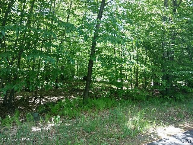 2nd image of 115 Little Fawn Cres