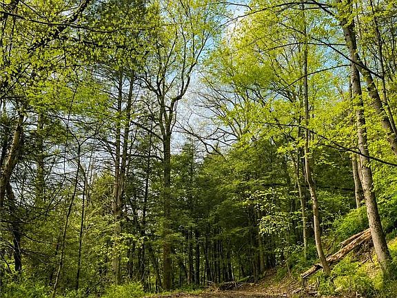 2nd image of 45052 Lower Smith Gap Rd