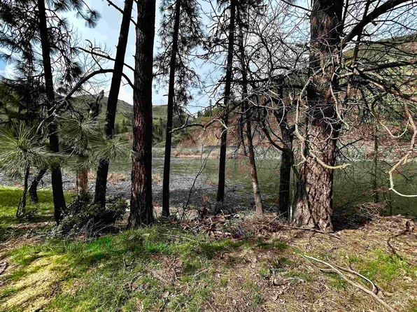Mill St, Kooskia, ID 83539