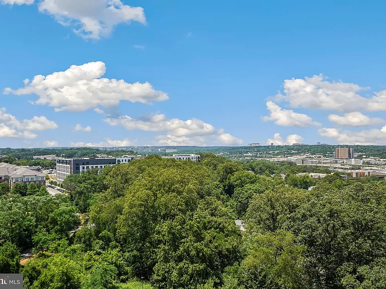 5901 Mount Eagle Dr #1517 — Photo 8