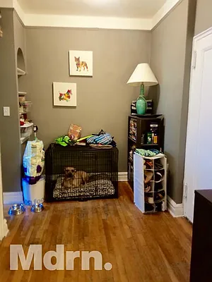 Rented by Mdrn Residential | media 14