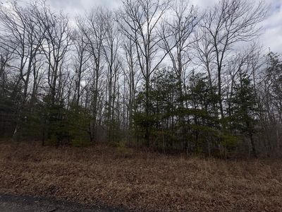 16R Stockton Bluffs Ln, Jamestown, TN, 38556
