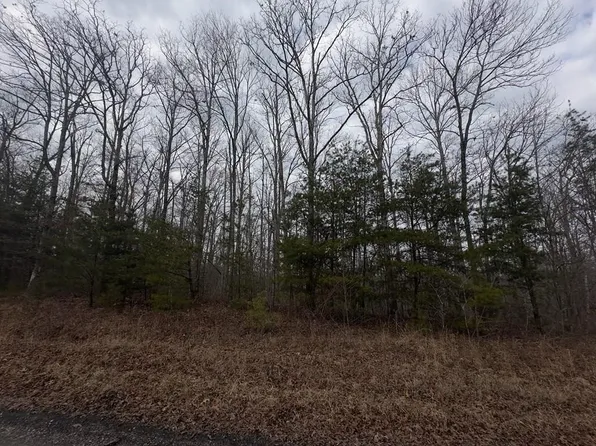 16R Stockton Bluffs Ln, Jamestown, TN 38556