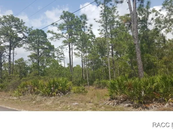 5847 S Greenfield Ter, Homosassa, FL 34446