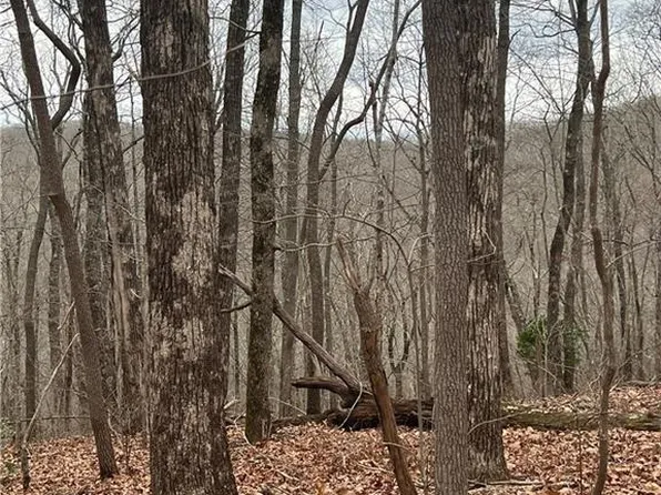 0 Saint Andrews Way #167, Jasper, GA 30143