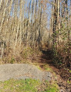 0 N Starbird Rd, Mount Vernon, WA, 98274