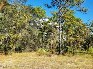 16396 Manor Rd, Weeki Wachee, FL 34614