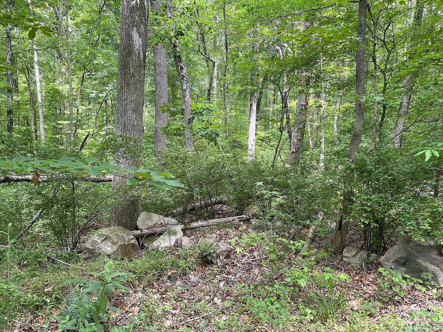 Chicken Bridge Rd, Pittsboro, NC 27312 MLS 2513377 Zillow
