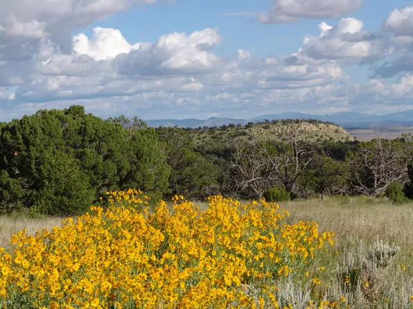 205 Coyote Trl, Datil, NM 87821