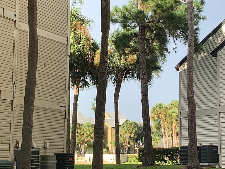 1916 Lake Atriums Cir #140 — Photo 4