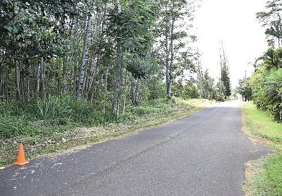 3rd image of 29th Ave Lot 207