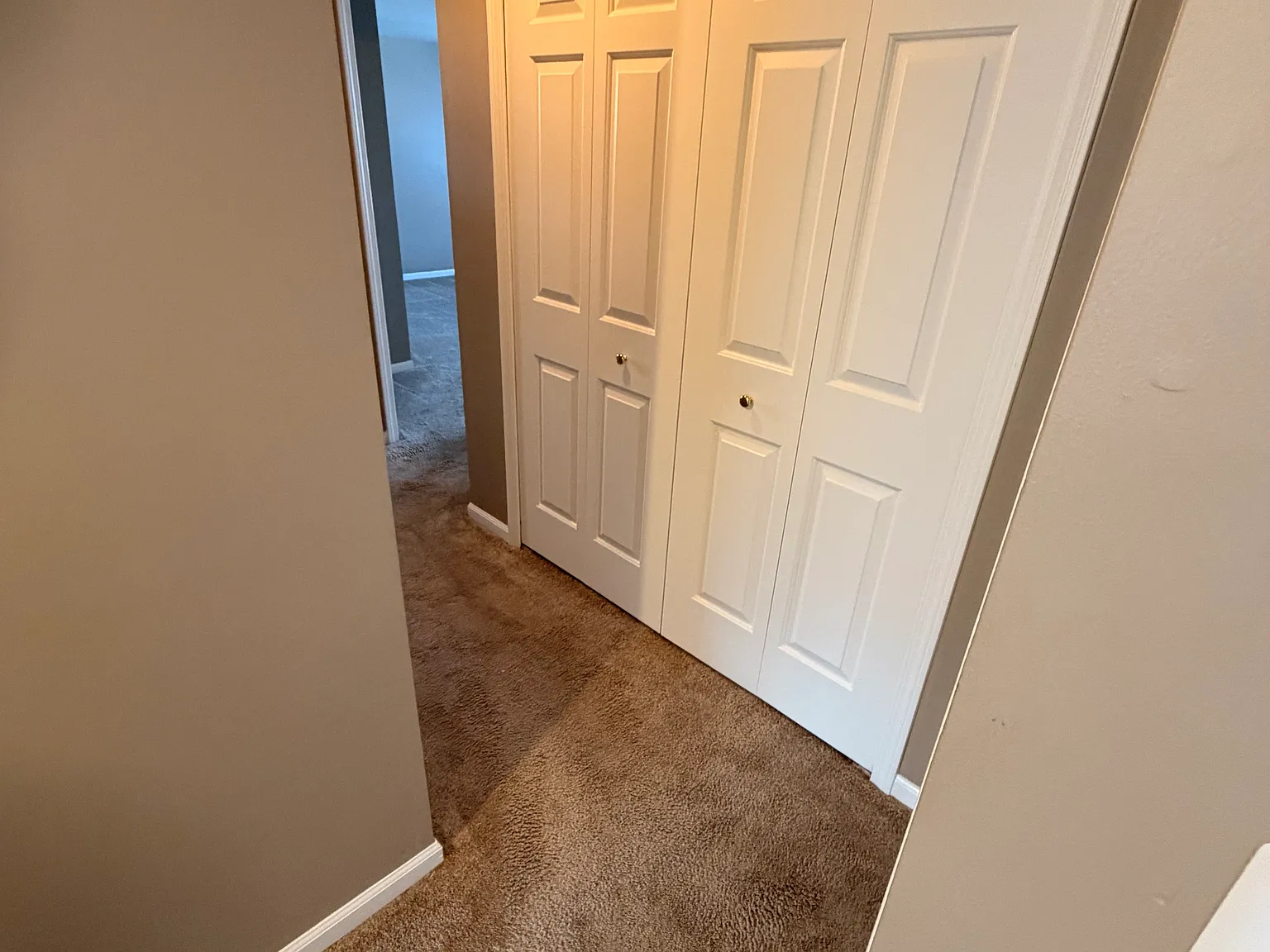 2 bed, 1250 sqft, $1,250 — Photo 3