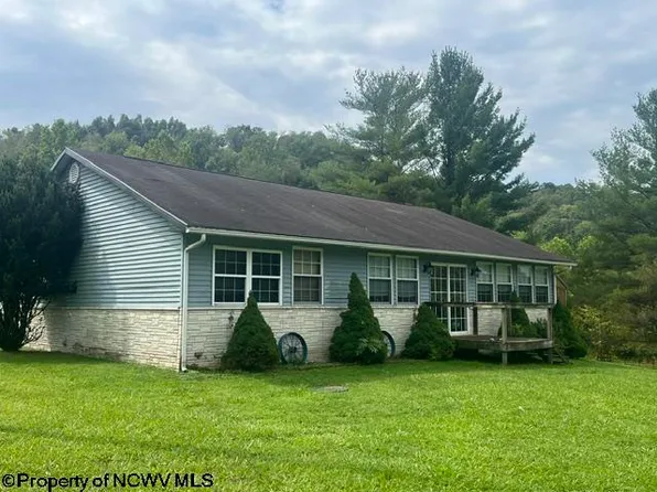 13 Birch Ln, Jane Lew, WV 26378
