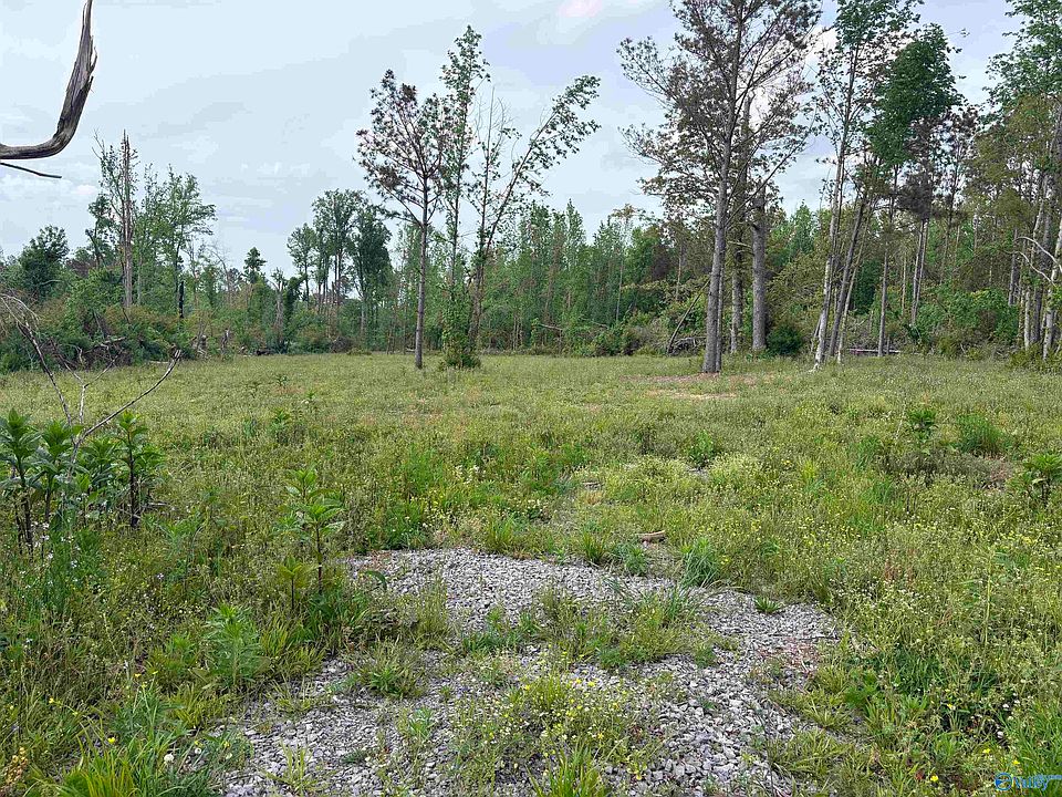 1st image of LOT 2 Highway 40