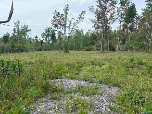 LOT 2 Highway 40, Henagar, AL 35978