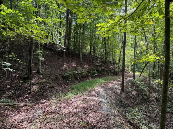 0 Fuller Mountain Rd #7, Fairmount, GA 30139