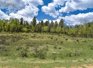 130 Rock Dr, Lake George, CO 80827