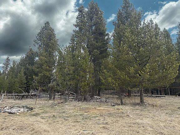 4th image of 15676 River Dr