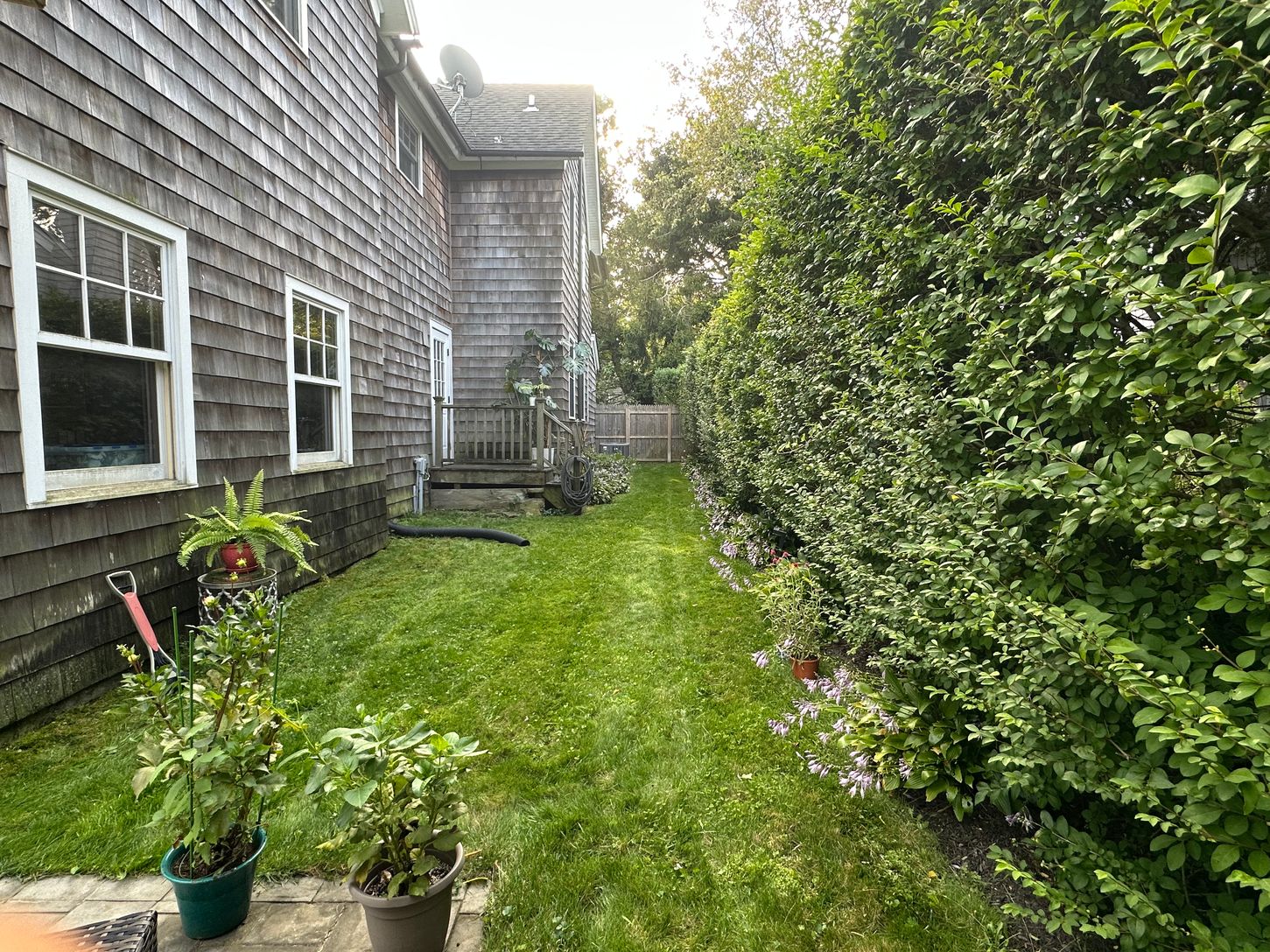 Pool and surroundings