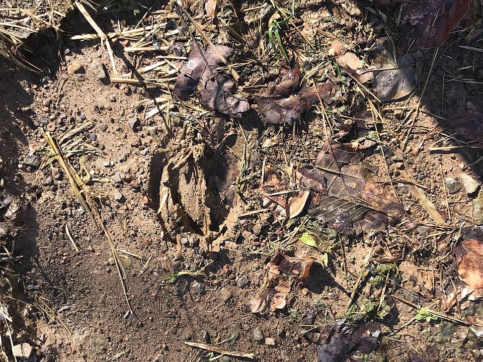 1st image of 125 Harvey White Cemetery Rd