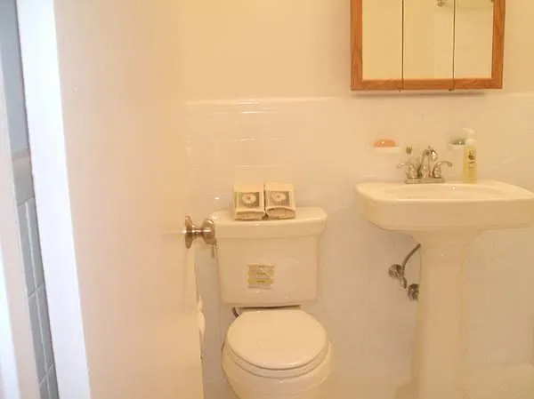 Studio, 465 sqft, $1,250 — Photo 3