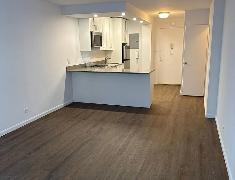 330 E 46th St #10T — Photo 4