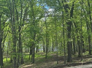 Tract 2 W Farm Road 36, Willard, MO 65781