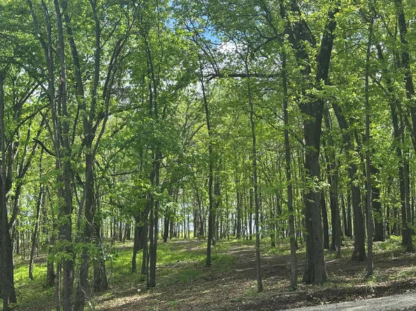 Tract 2 W Farm Road 36, Willard, MO 65781