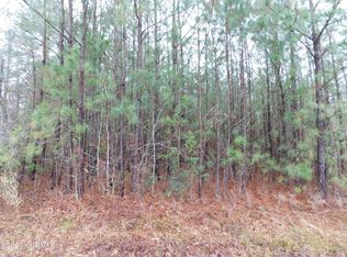 Poplar Neck Rd, Tyner, NC 27980