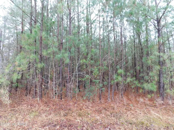 Tbd Poplar Neck Road, Tyner, NC 27980