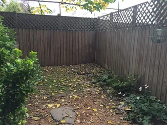 Rented by Bedford 6 Real Estate