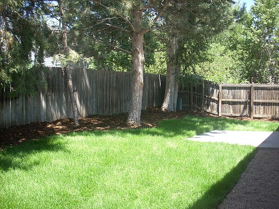 Back yard- mature trees!