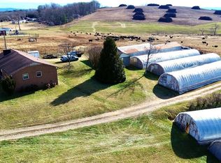 8621 Austin Traphill Rd, Traphill, NC 28685