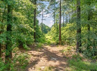 993 Dahlia Rd, Gilmer, TX 75644