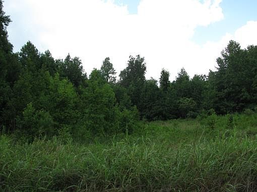 2nd image of Ashleigh Rd