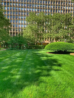 Rented by Corcoran | media 21