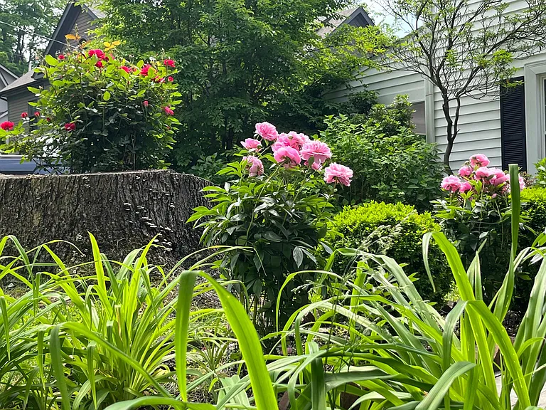 2 Virginia Pl #1W — Photo 14