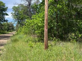 W Princeton Dr, Baldwin, MI 49304
