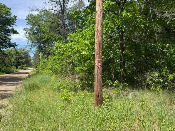 W Princeton Dr, Baldwin, MI 49304
