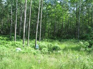 On Pfeifer Rd, Tomahawk, WI 54487