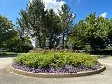 17523 Curry Branch Rd — Photo 33