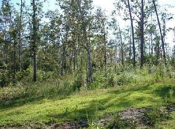 2nd image of 23651 Highway 40
