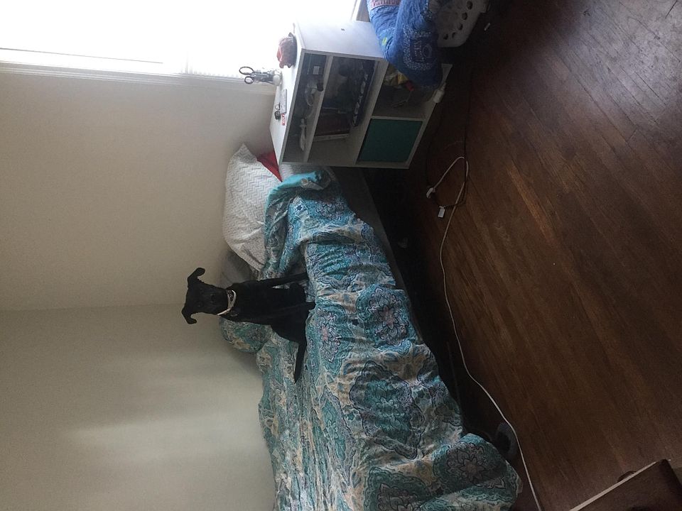 One of the two bedrooms 
