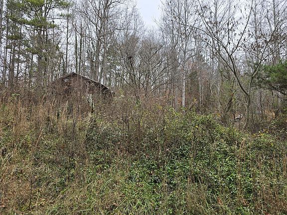 4th image of 127 County Road 179