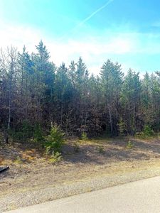 Lot 29 RED TAIL HAWK DRIVE Lot 29 Snowy Owl Roa, Stevens Pt, WI, 54482