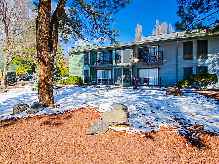 Legacy Pines — Photo 29